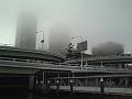 Brisbane from CityCat ferry, foggy morning DSC02387